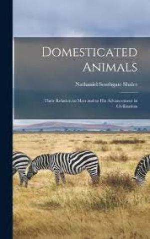 Domesticated Animals